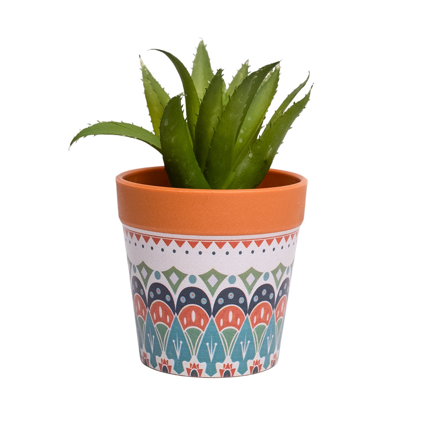 VON CASA Aloevera Artificial Potted Plant - Mandala Style