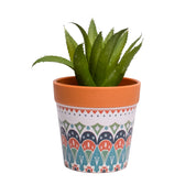 VON CASA Aloevera Artificial Potted Plant - Mandala Style