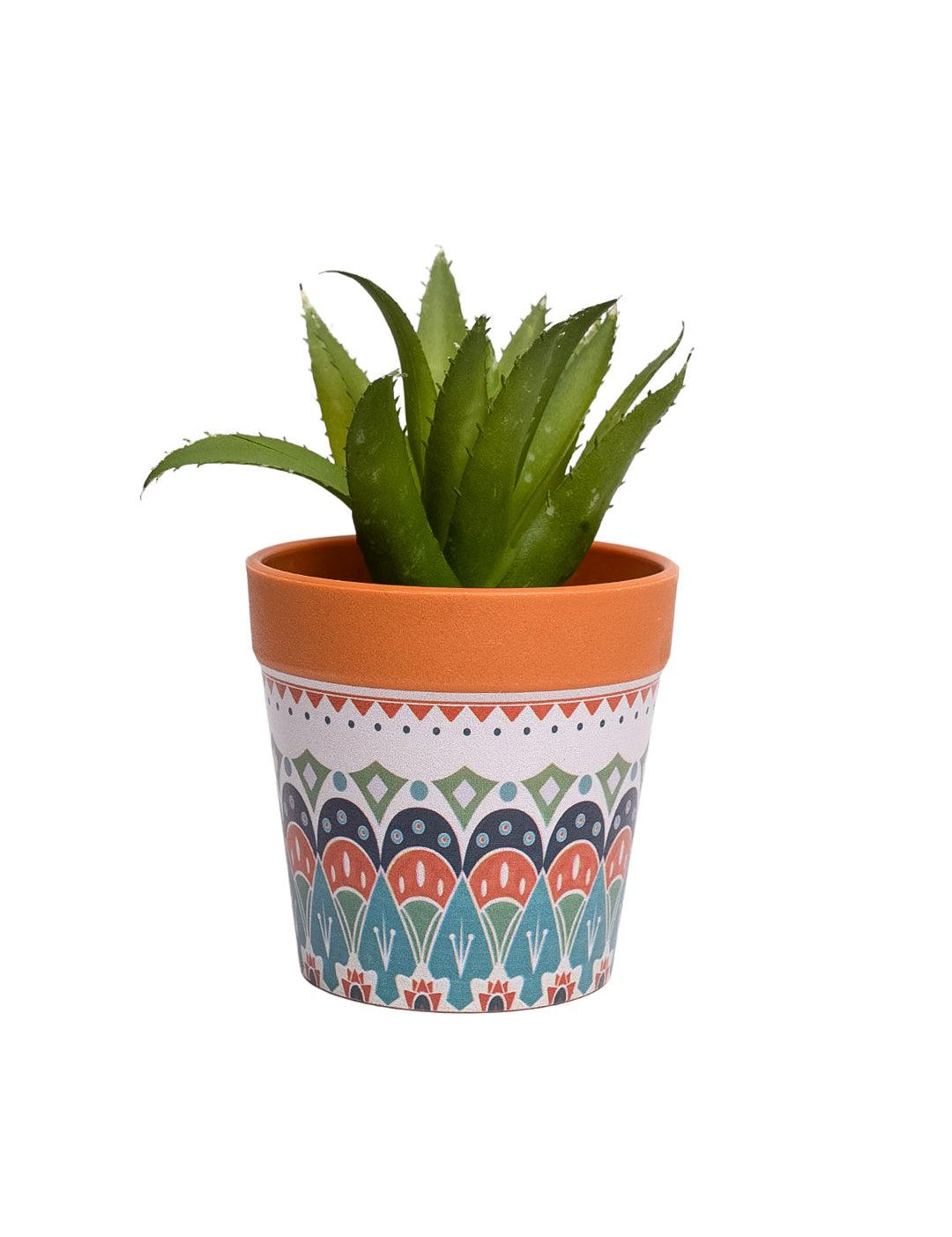 VON CASA Aloevera Artificial Potted Plant - Mandala Style - MARKET99