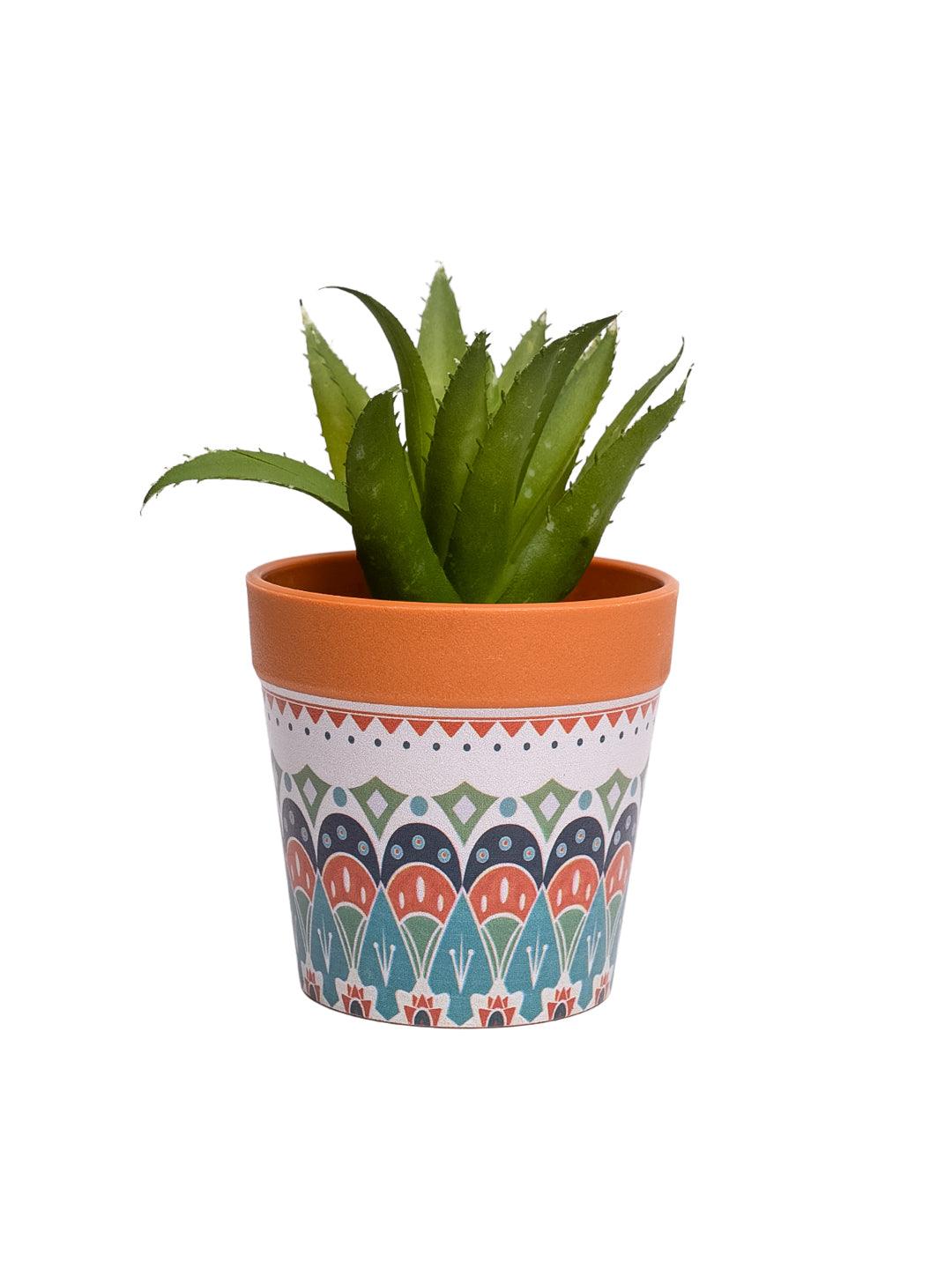 VON CASA Aloevera Artificial Potted Plant - Mandala Style - MARKET99