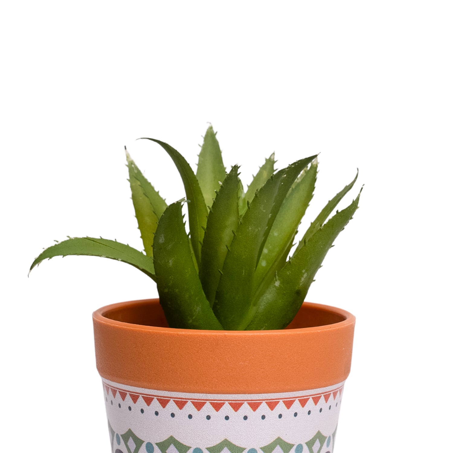 VON CASA Aloevera Artificial Potted Plant - Mandala Style