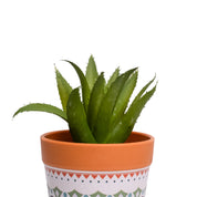 VON CASA Aloevera Artificial Potted Plant - Mandala Style