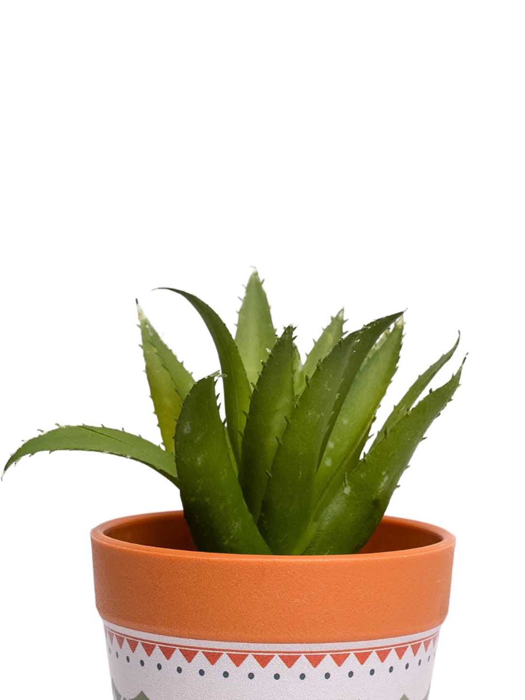 VON CASA Aloevera Artificial Potted Plant - Mandala Style