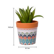 VON CASA Aloevera Artificial Potted Plant - Mandala Style