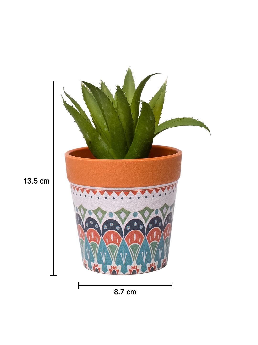 VON CASA Aloevera Artificial Potted Plant - Mandala Style - MARKET99