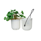 Artifical Hanging Planters For Outdoor Indoor Plants