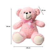 Valentine Teddy Bear Pink Color - 29CM