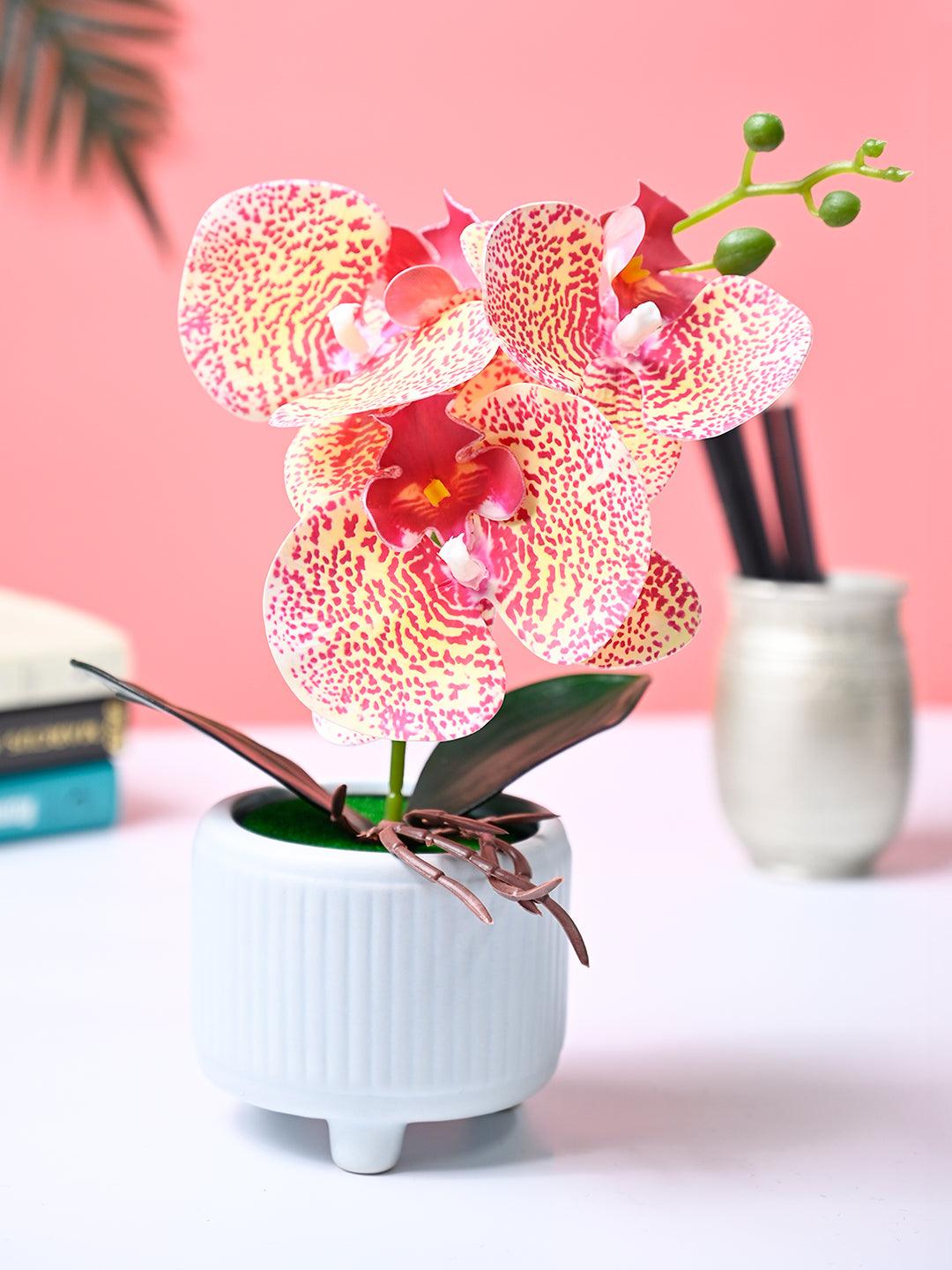 Market99 Pink Artificial Orchid Flower With Cyan Pot