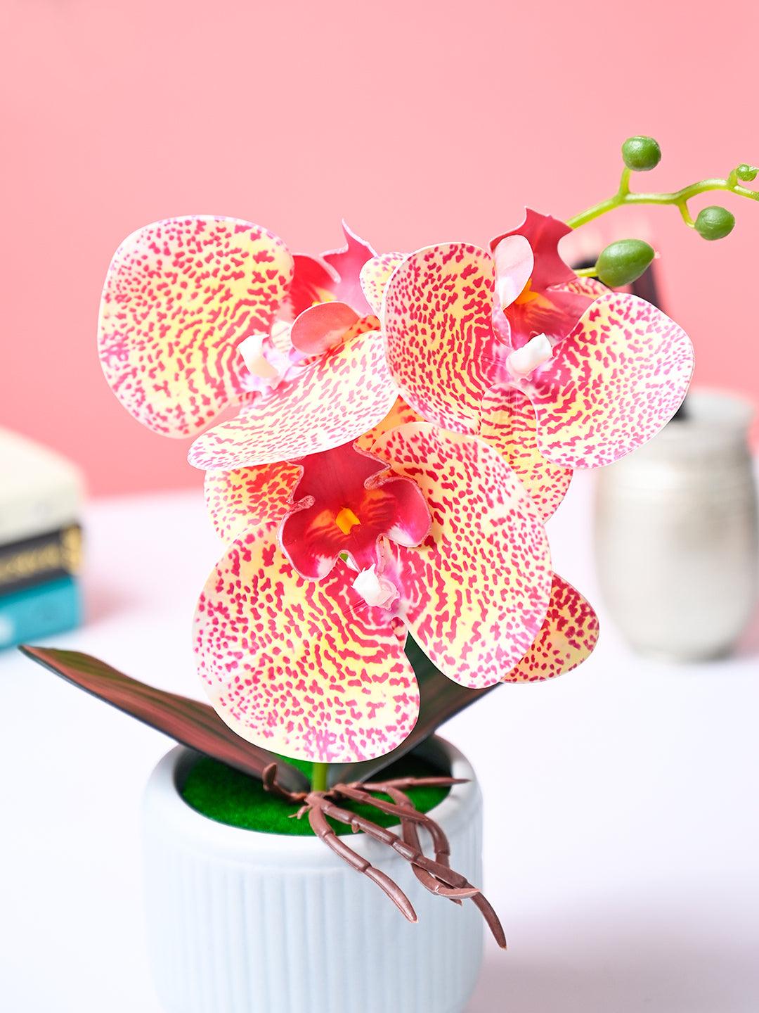 Market99 Pink Artificial Orchid Flower With Cyan Pot - MARKET99