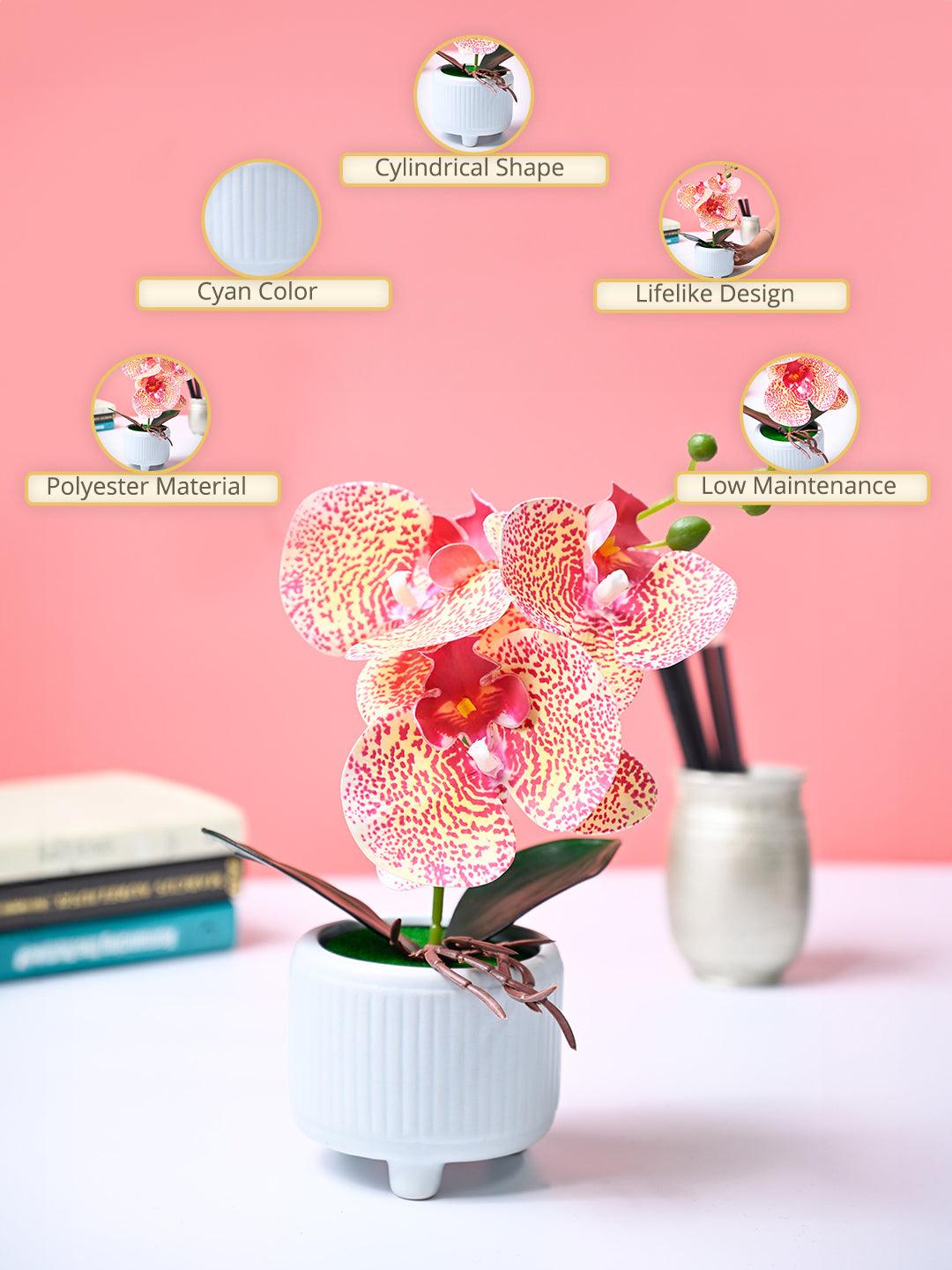 Market99 Pink Artificial Orchid Flower With Cyan Pot - MARKET99