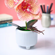 Market99 Pink Artificial Orchid Flower With Cyan Pot - MARKET99