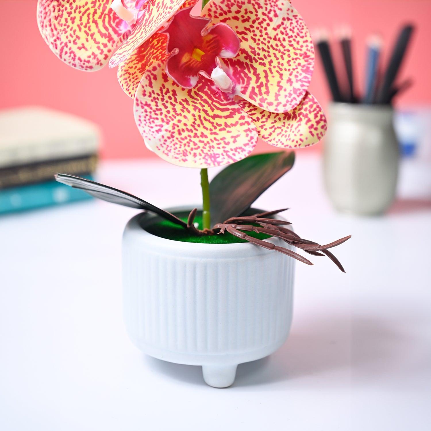 Market99 Pink Artificial Orchid Flower With Cyan Pot