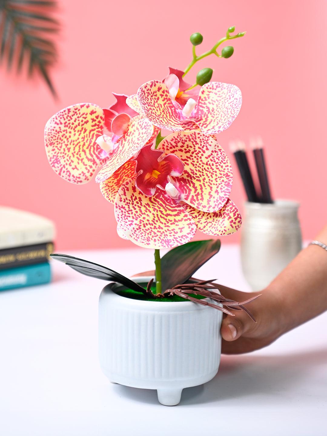 Market99 Pink Artificial Orchid Flower With Cyan Pot - MARKET99