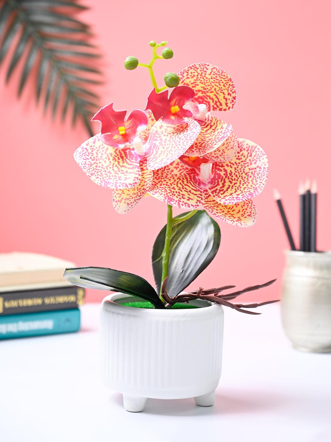 Market99 Pink Artificial Orchid Flower With White Pot