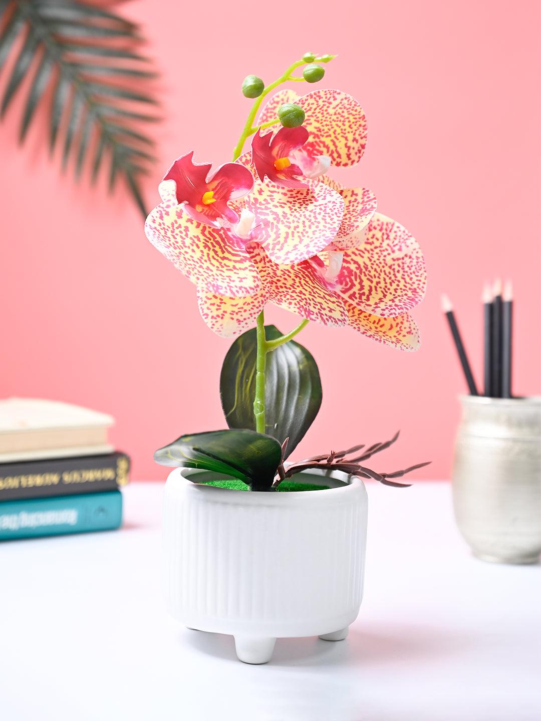 Market99 Pink Artificial Orchid Flower With White Pot - MARKET99