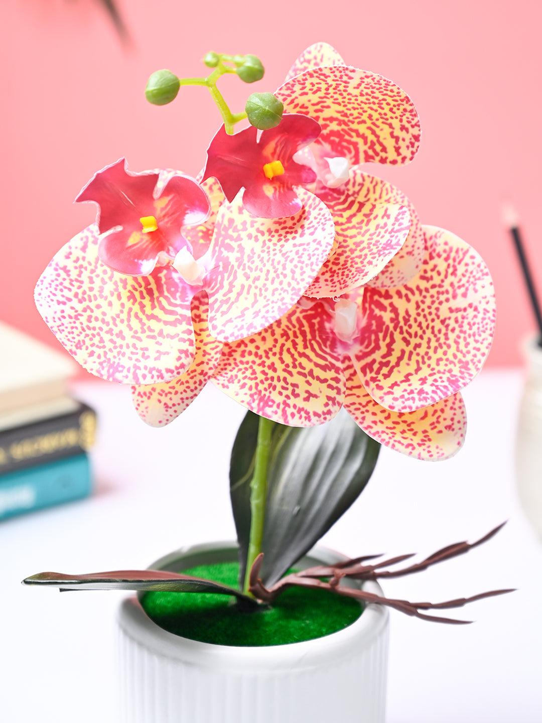 Market99 Pink Artificial Orchid Flower With White Pot