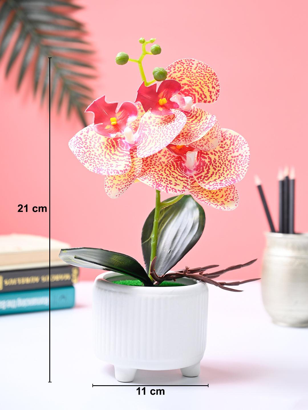 Market99 Pink Artificial Orchid Flower With White Pot - MARKET99