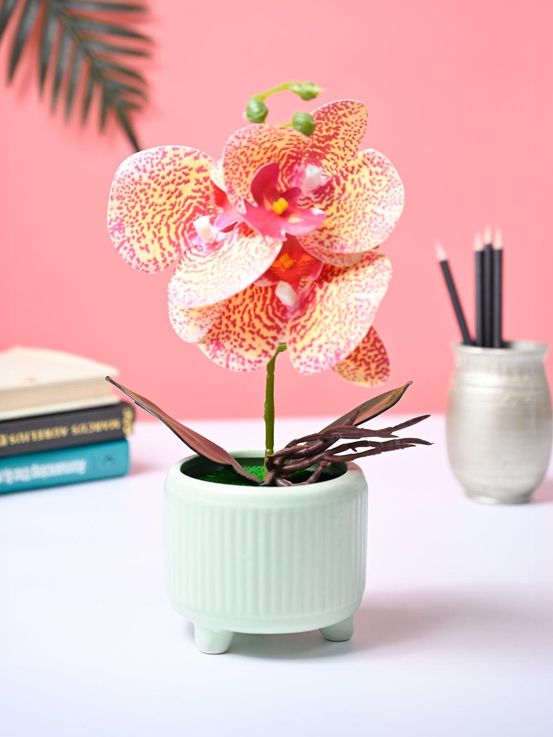 Market99 Pink Artificial Orchid Flower With Green Pot - MARKET99