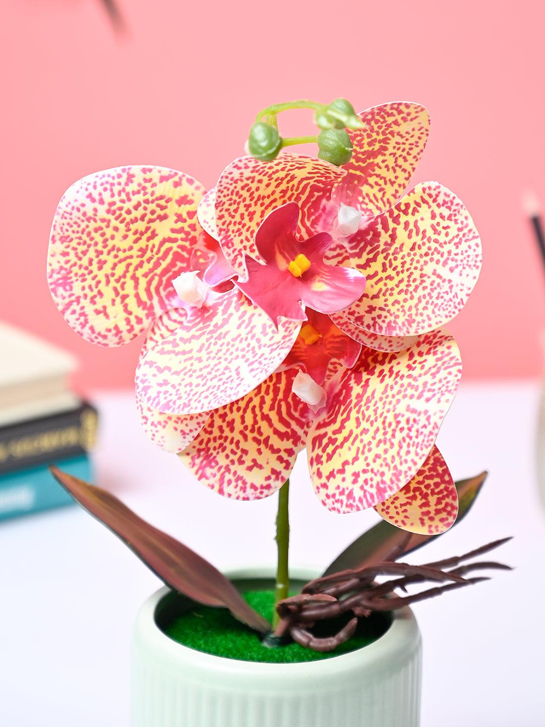 Market99 Pink Artificial Orchid Flower With Green Pot