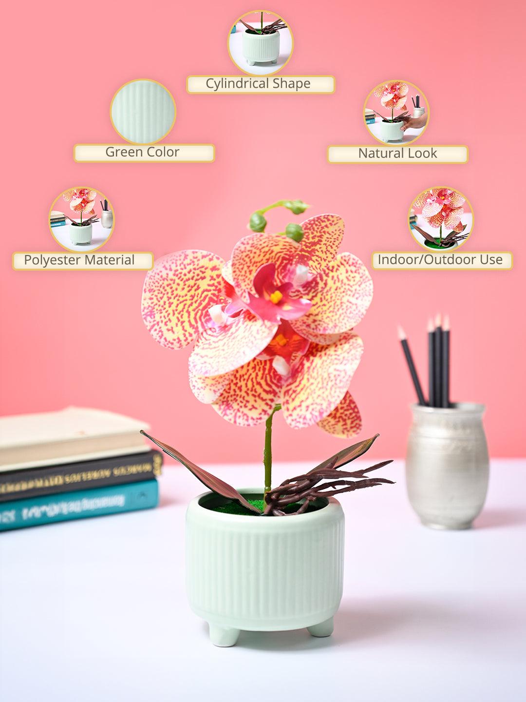 Market99 Pink Artificial Orchid Flower With Green Pot - MARKET99