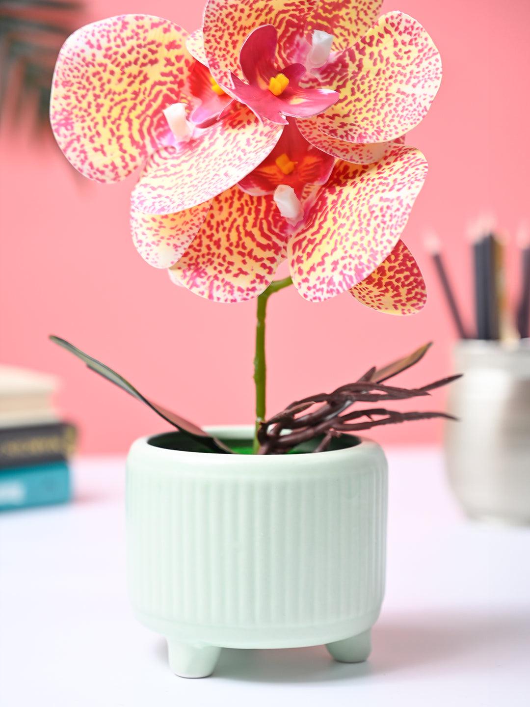 Market99 Pink Artificial Orchid Flower With Green Pot