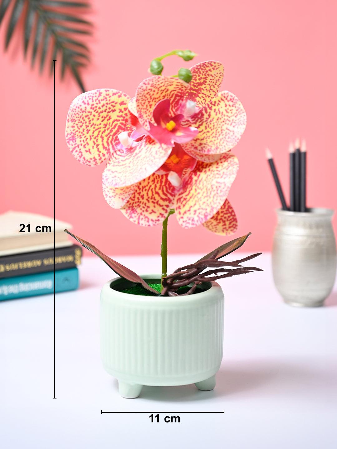 Market99 Pink Artificial Orchid Flower With Green Pot - MARKET99
