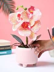 Market99 Pink Artificial Orchid Flower With Pink Pot - MARKET99