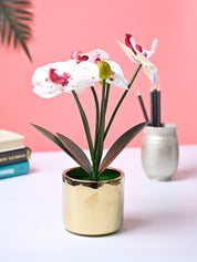 Market99 White Artificial Orchid Flower With Golden Pot - MARKET99