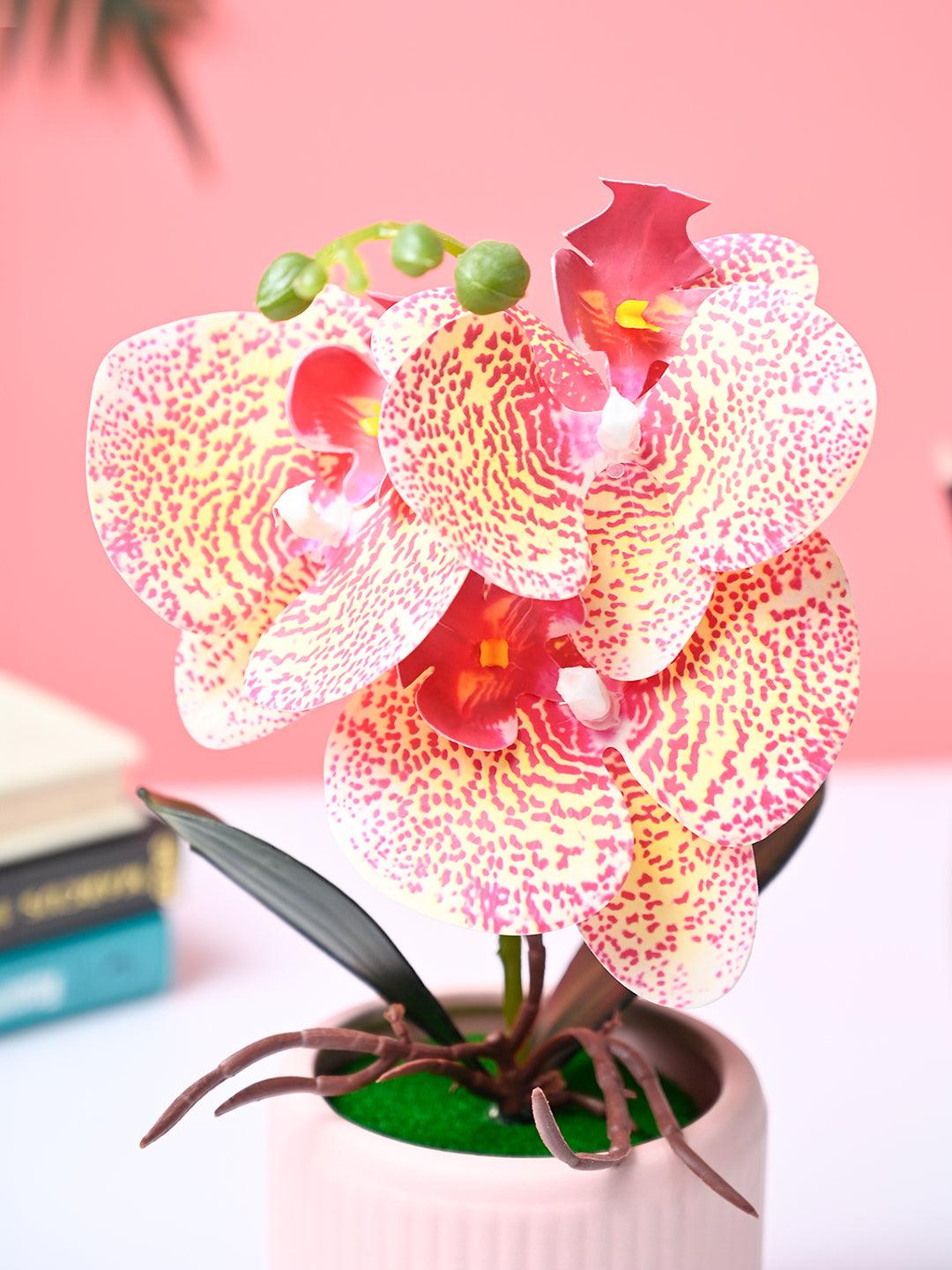 Market99 White Artificial Orchid Flower With Golden Pot - MARKET99