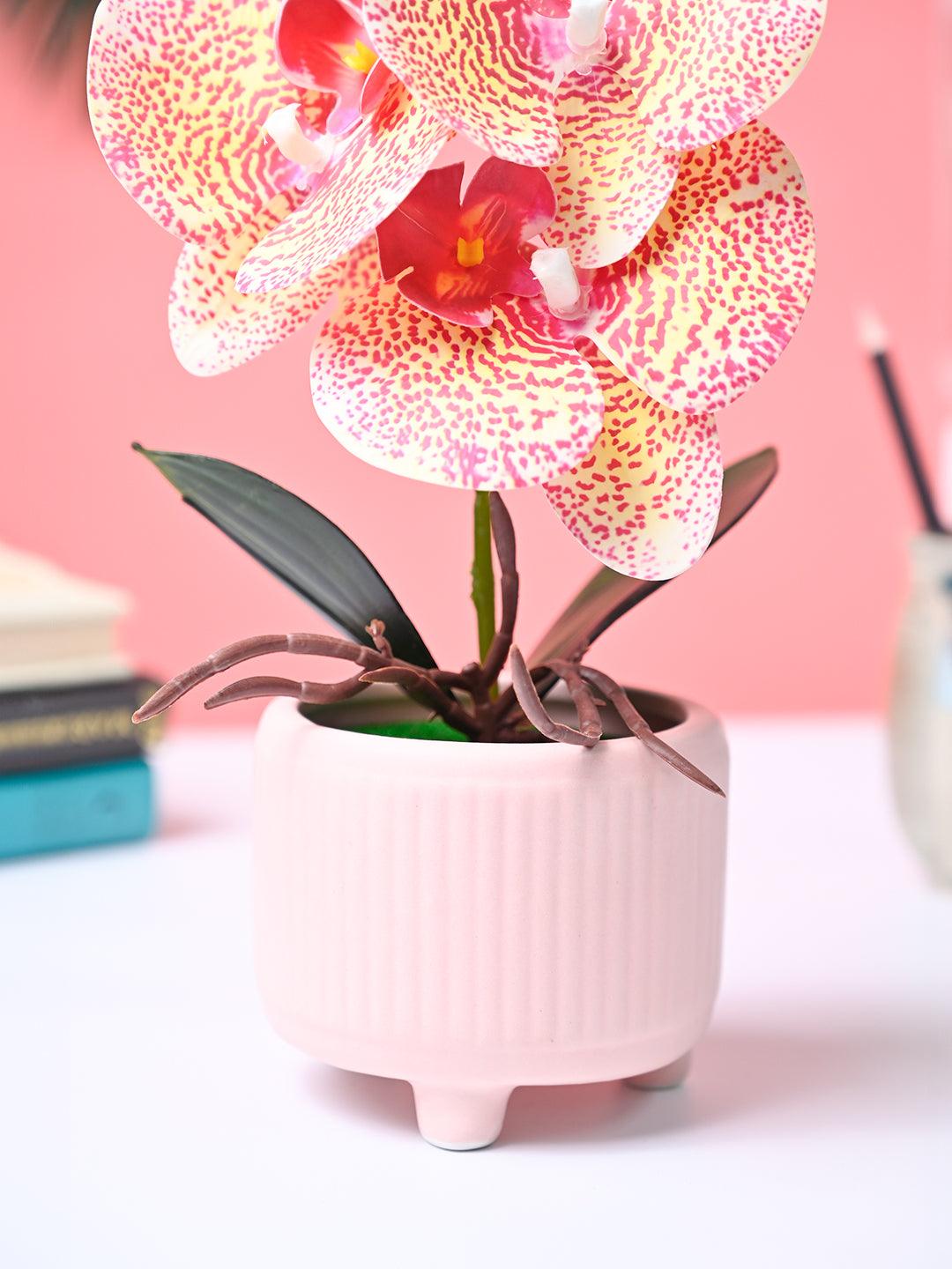 Market99 White Artificial Orchid Flower With Golden Pot