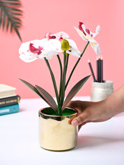 Market99 White Artificial Orchid Flower With Golden Pot - MARKET99