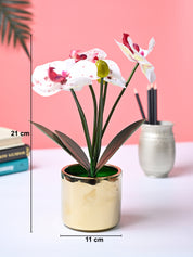 Market99 White Artificial Orchid Flower With Golden Pot - MARKET99