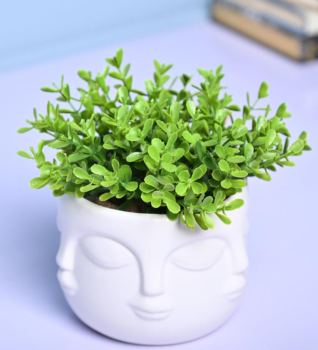 Stylish White Ceramic Face Vase - MARKET99