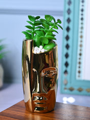 Golden Serenity - Face Design Artificial Plant with Pot - MARKET99