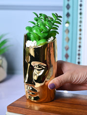 Golden Serenity - Face Design Artificial Plant with Pot - MARKET99