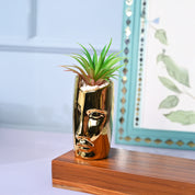Tranquil Expression - Face Design Ceramic Pot with Artificial Plant