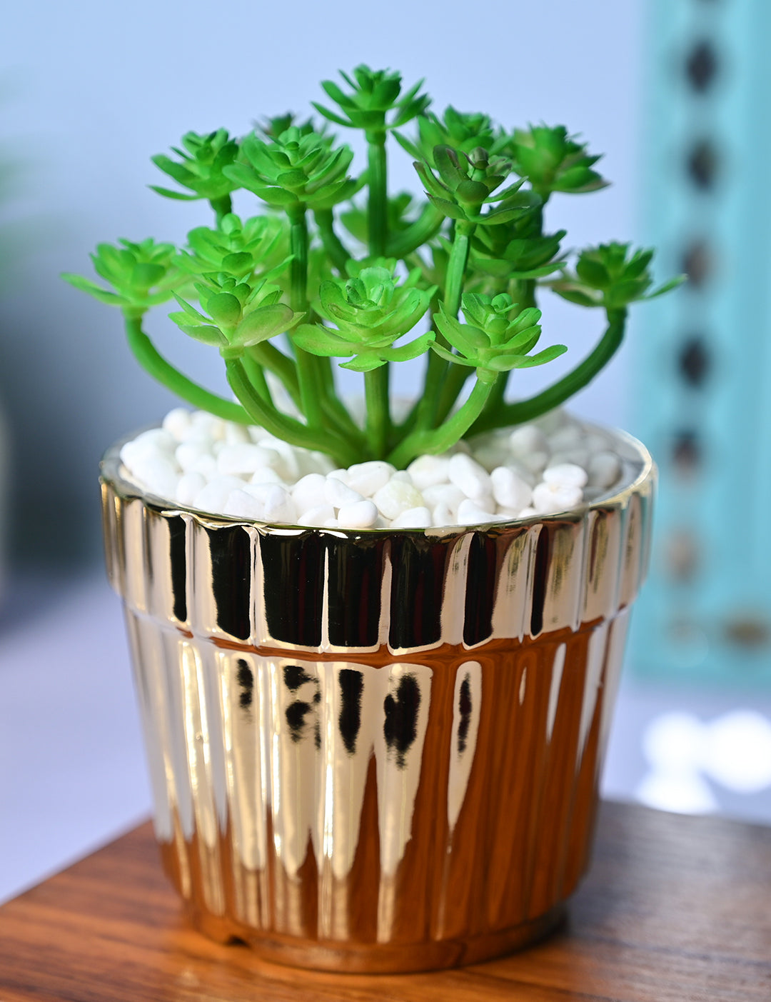 Golden Stripes - Artificial Plant with Glossy Ceramic Pot - MARKET99