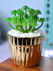 Golden Stripes - Artificial Plant with Glossy Ceramic Pot - MARKET99