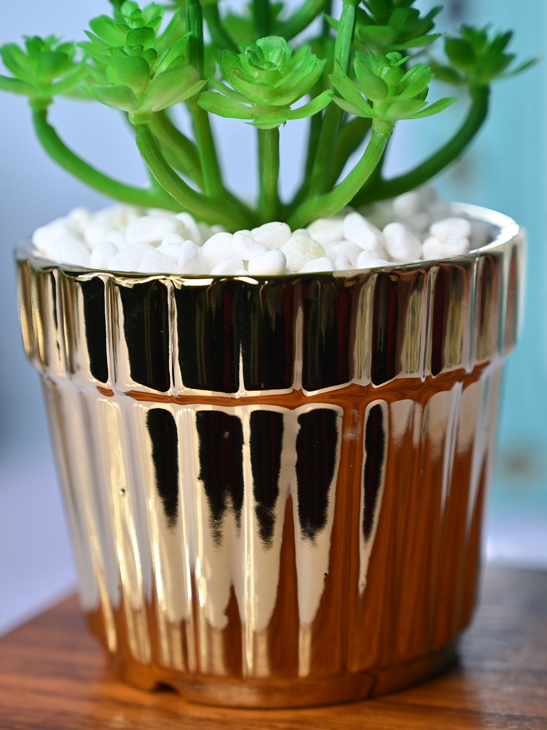 Golden Stripes - Artificial Plant with Glossy Ceramic Pot - MARKET99