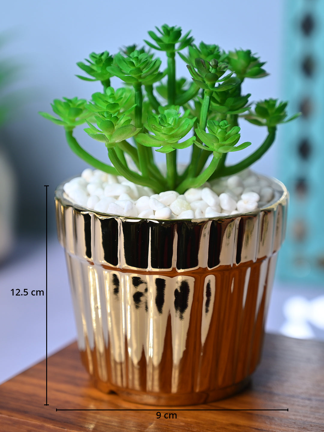 Golden Stripes - Artificial Plant with Glossy Ceramic Pot - MARKET99