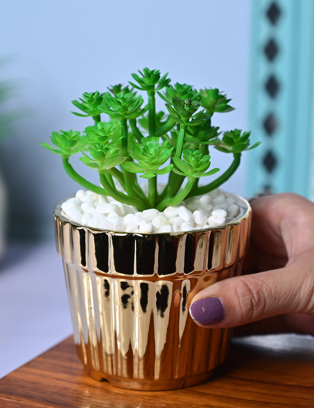 Golden Stripes - Artificial Plant with Glossy Ceramic Pot - MARKET99