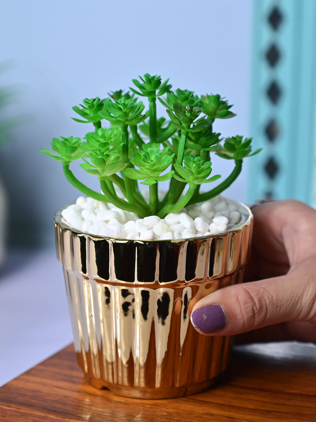 Golden Stripes - Artificial Plant with Glossy Ceramic Pot - MARKET99