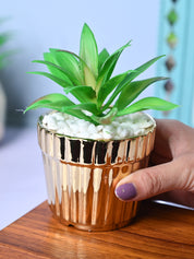 Sleek & Sophisticated - Stripe Design Faux Plant with Ceramic Pot - MARKET99