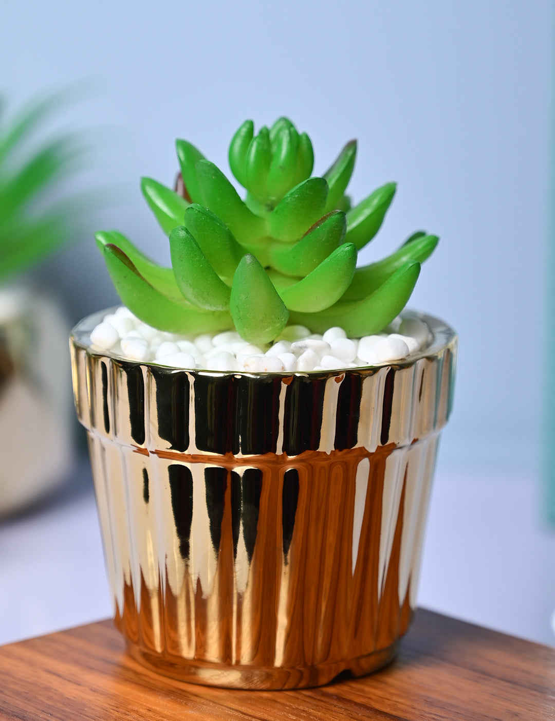 Modern Elegance - Striped Ceramic Pot with Artificial Plant - MARKET99