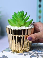 Modern Elegance - Striped Ceramic Pot with Artificial Plant - MARKET99