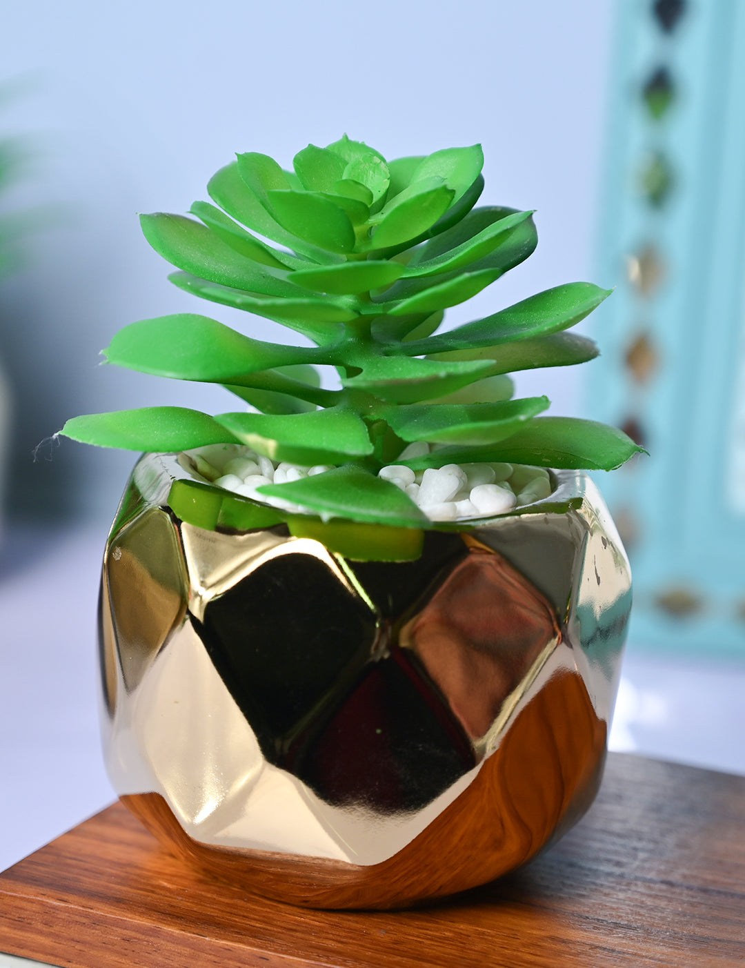 Golden Lattice - Artificial Plant in Ceramic Pot - MARKET99