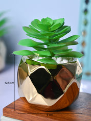 Golden Lattice - Artificial Plant in Ceramic Pot - MARKET99