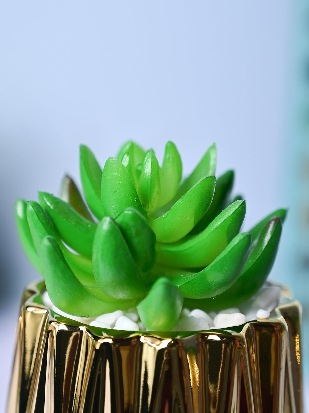 Zigzag Beauty - Glossy Ceramic Pot with Artificial Plant - MARKET99