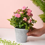 Artificial Plant With Pot – Green & Pink