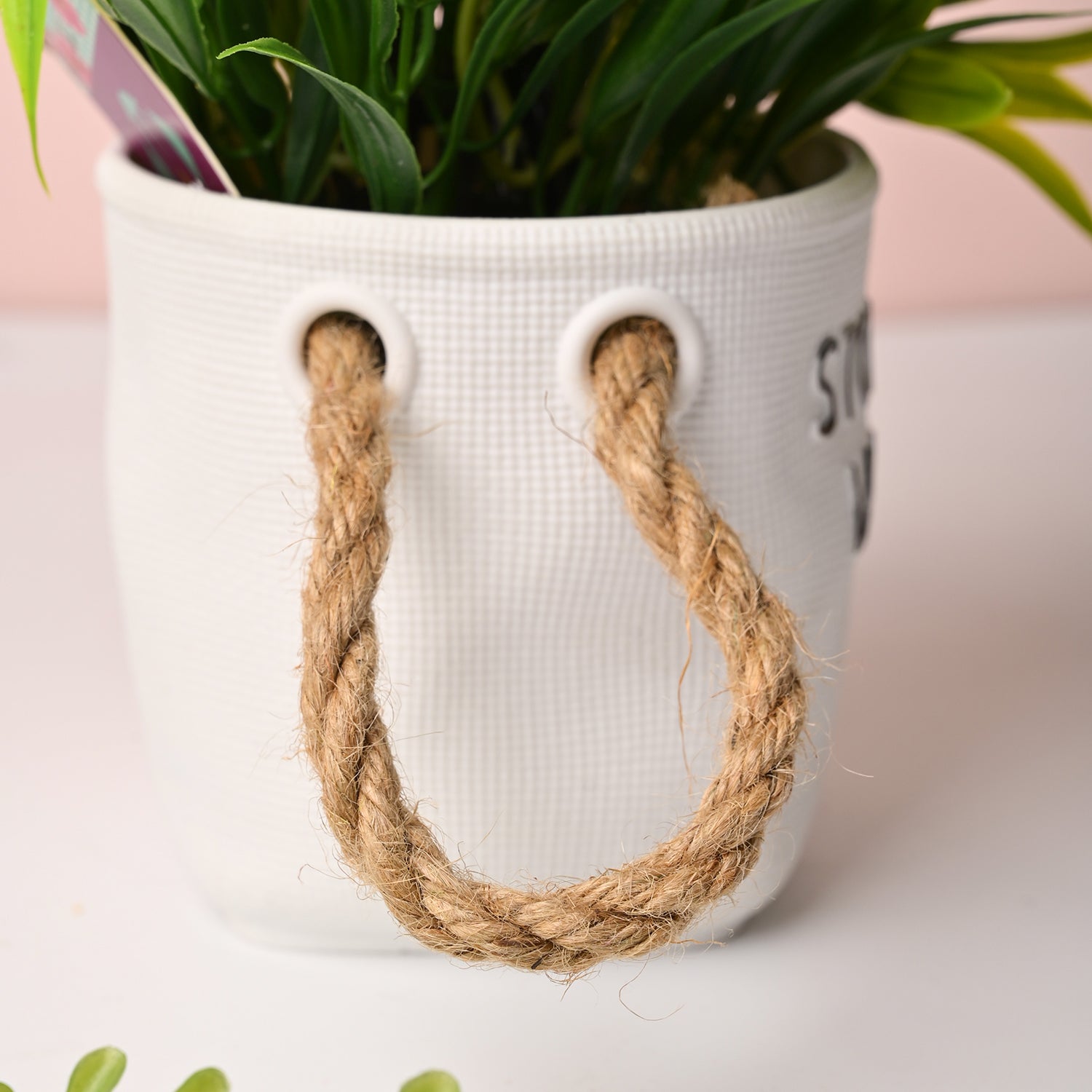 Artificial Flower With Pot – Green & White